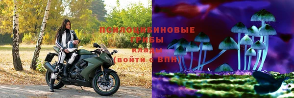 прущий лед Алексин