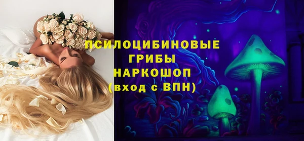 прущий лед Алексин