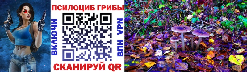 Псилоцибиновые грибы мухоморы  наркотики  Биробиджан 