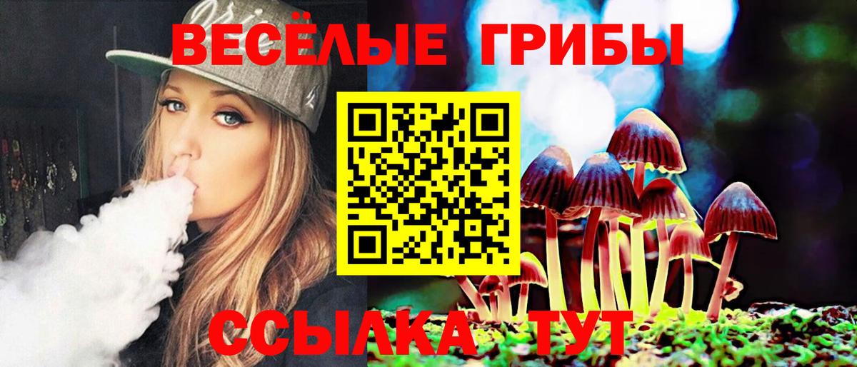 Биробиджан  где можно купить наркотик  Вход с VPN  Галлюциногенные грибы прущие грибы 