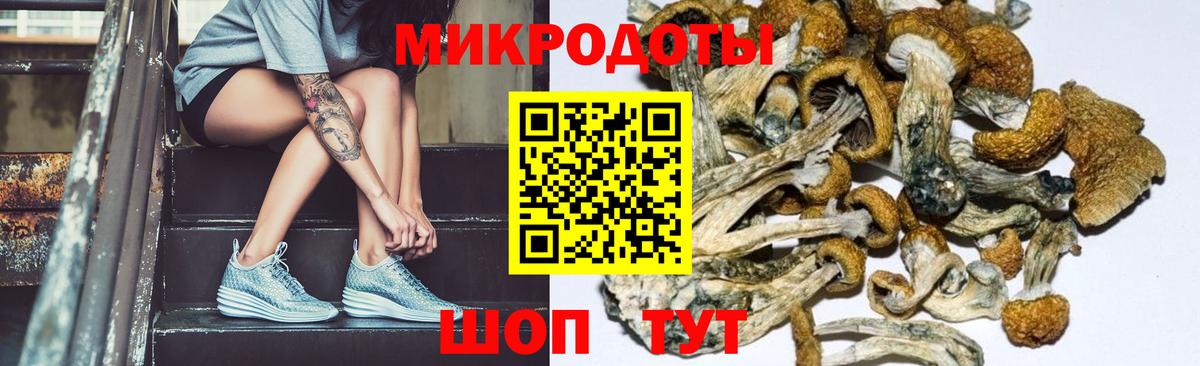 Псилоцибиновые грибы Magic Shrooms Биробиджан